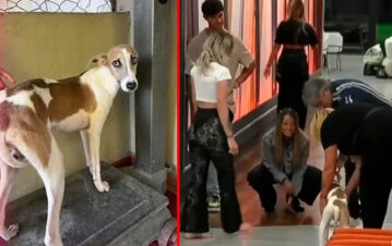 Escándalo en Gran Hermano: dos participantes no se bancan Arturo y quieren echarlo de la casa