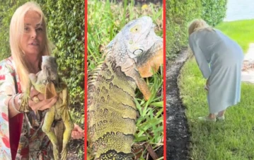 El divertido momento que Susana Giménez y su hija protagonizaron con una iguana en Miami