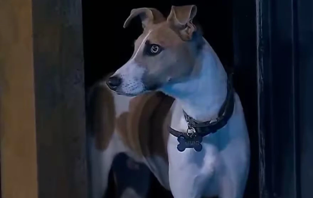 A qué participante culparon ante la noticia de que sacarán a Arturo de Gran Hermano