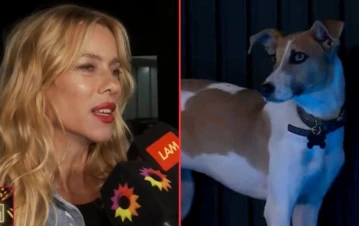 Nicole Neumann furiosa contra Gran Hermano por el trato al perro Arturo