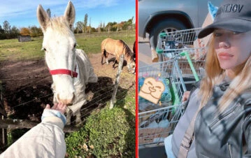 Fotos y videos: así es la chacra donde Nicole Neumann tiene a sus animales rescatados