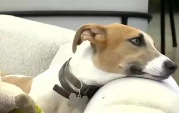 Arturo sufrió un accidente en Gran Hermano: cuál fue el participante que lo descuidó