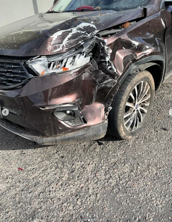 El fuerte accidente que sufrió Patricia Sosa