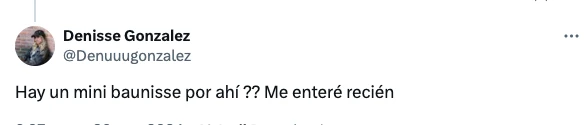 Denisse confirmó si está embarazada
