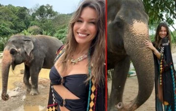 La exótica experiencia de Pampita con los elefantes de Tailandia: “Es inspirador ver cómo…”