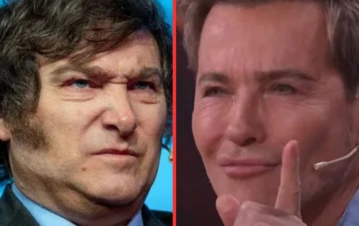 El desesperado pedido de Guido Süller a Javier Milei por la privatización de Aerolíneas Argentinas