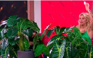 La divertida razón por la que Yanina Latorre hizo LAM tapada por una planta