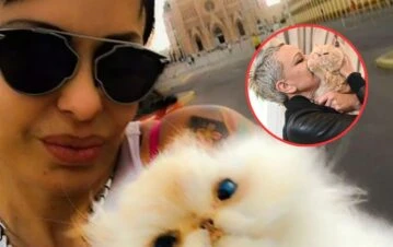 El dolor de Daniela Cardone por la muerte de su famoso gato Garfield