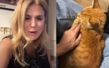 ¡Qué emoción! Flavia Palmiero contó cómo se reencontró con su gato perdido después de dos meses