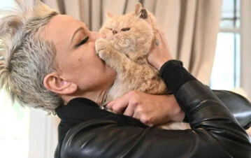 Daniela Cardone reveló cómo fueron las últimas horas de Garfield, su gato que mandó a embalsamar