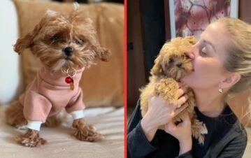 La insólita técnica de Barbie Simons que copia de Paris Hilton para sus perros