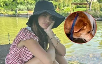 La triste historia del perro de la China Suárez que murió electrocutado en la "casa de los sueños" de Icardi: las fotos