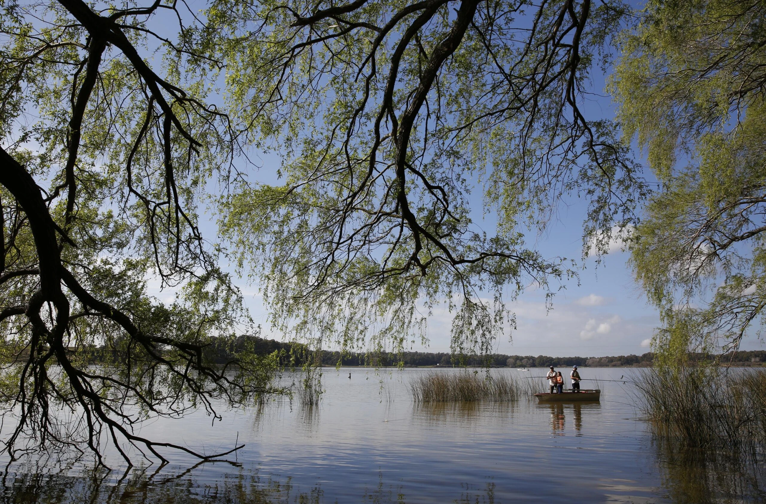 Laguna de los Padres.