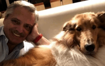 La emotiva carta con la que Alberto Fernández despidió a su perro Dylan tras su muerte