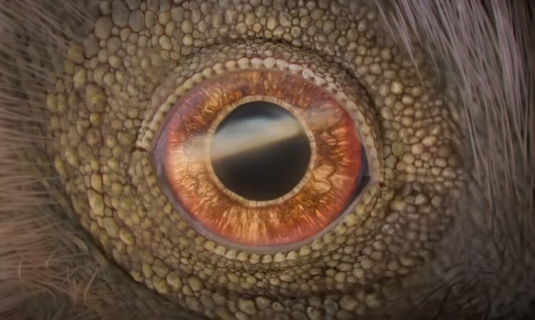 Qué ver en Netflix: la miniserie de 4 episodios que alcanzó las 10 millones de visitas y nadie quiere perderse