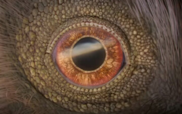 Qué ver en Netflix: la miniserie de 4 episodios que alcanzó las 10 millones de visitas y nadie quiere perderse