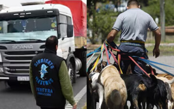 La famosa que se levantó a su paseador de perros después de salir con un camionero: "Te hago todos los rubros"