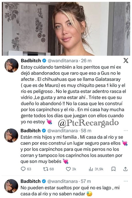 LA TREMENDA RESPUESTA DE WANDA NARA A LA ACUSACION DE QUE ABANDONO A LOS PERROS.