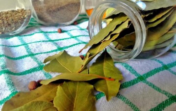 Poner una hoja de laurel en la billetera: para qué sirve y qué significa este popular ritual