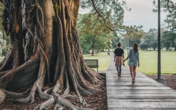 Se termina este veranito otoñal: el giro del clima que preocupa tras el sábado ideal. (Pixabay)