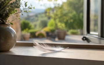 No es casualidad: qué significa encontrar una pluma en el patio o la ventana de casa y qué cambia según su color
