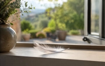 Qué significa encontrar una pluma en el patio o la ventana