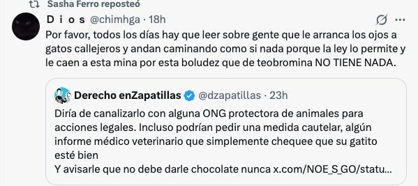 LA RECONOCIDA CUENTA DERECHO EN ZAPATILLAS SE METIO EN EL TEMA