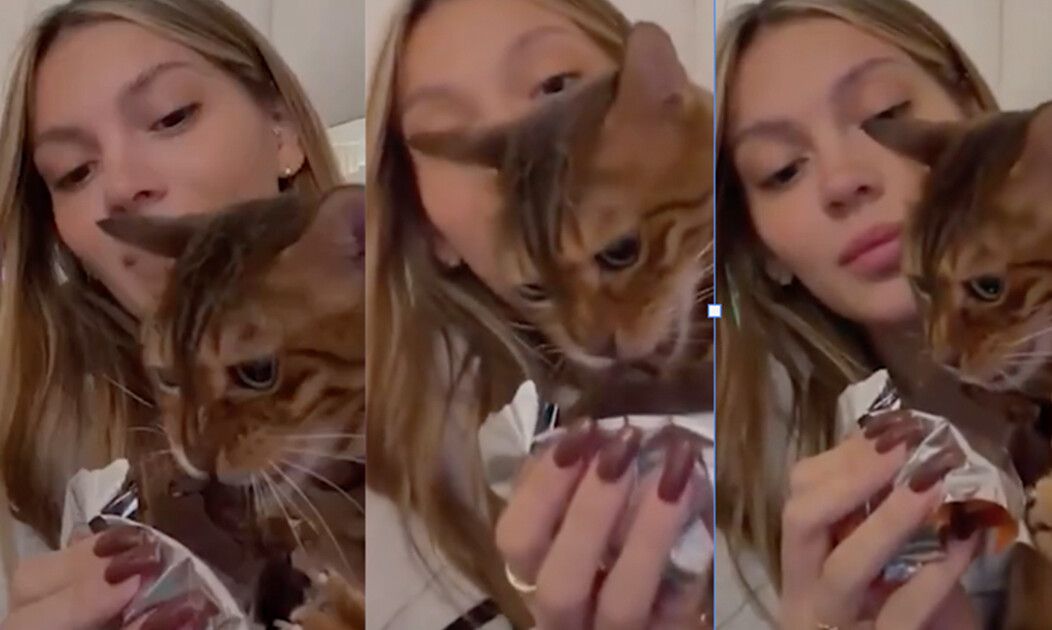 ¡Insólito! La modelo e influencer más polémica y mediática le dio chocolate a su gato y no solo la cancelan: la quieren presa