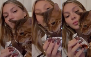 Sasha Ferro le dio chocolate al gato y se le vino el mundo encima