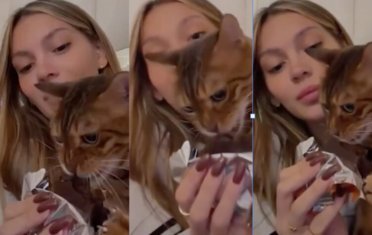 Sasha Ferro le dio chocolate al gato y se le vino el mundo encima