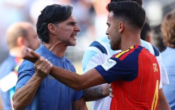 Video: así fue el golpe del Ratón Ayala a un futbolista español en medio de la pelea de Argentina y España