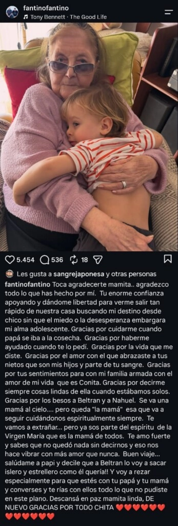 El posteo de Alejandro Fantino en homenaje a su mamá. (Instagram)