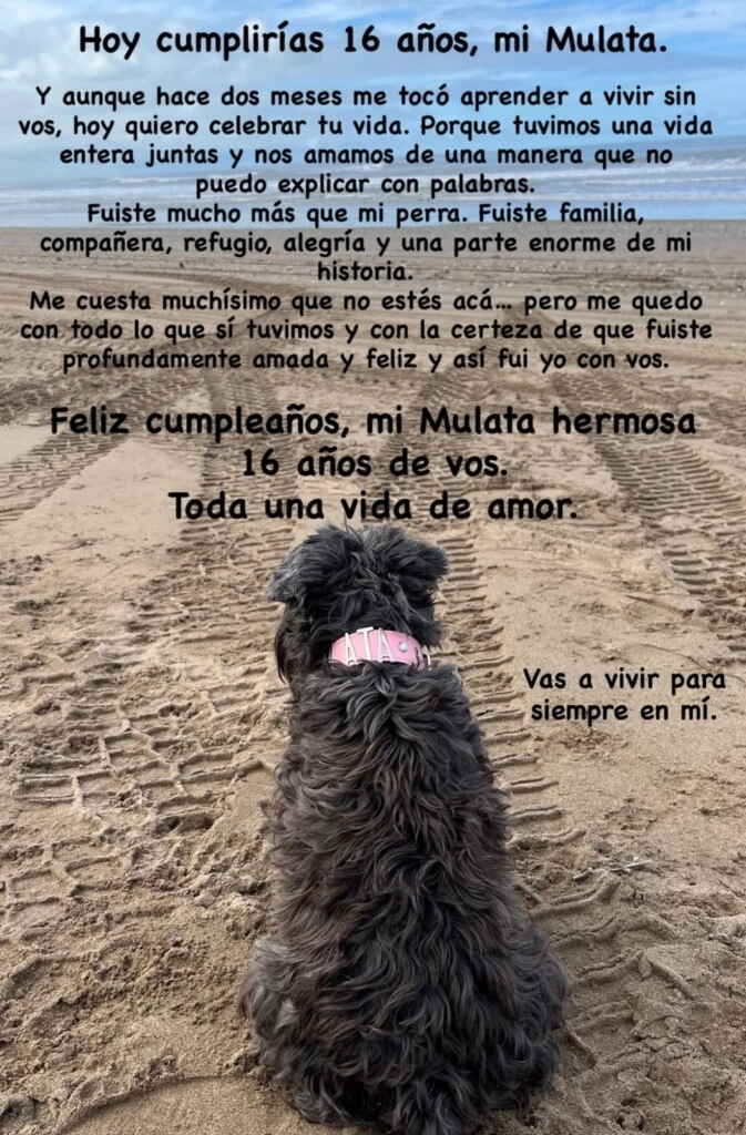 El posteo de Silvina Escudero en memoria de Mulata. (Instagram)