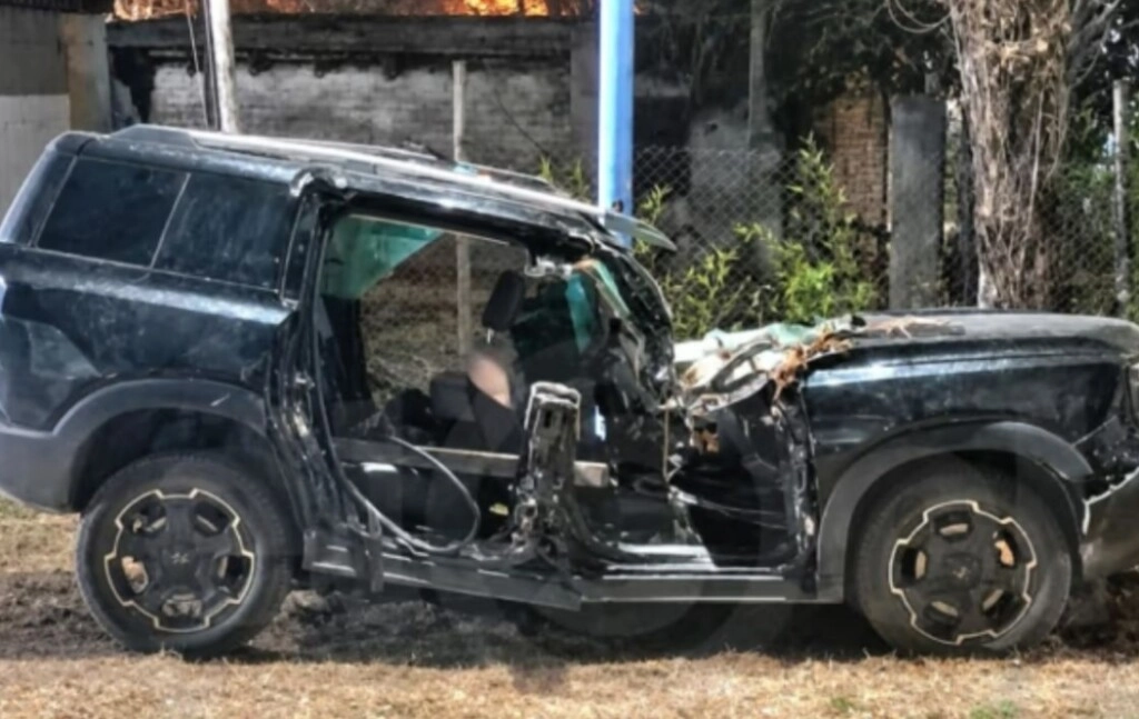 Tragedia en Mendoza: un árbol cayó sobre una camioneta, mató a un matrimonio y su hija de 15 años sobrevivió
