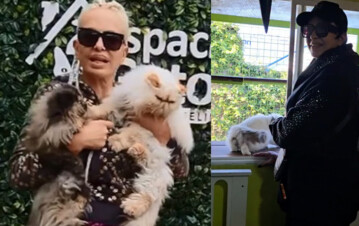 Daniela Cardone le puso a su gata el nombre de la famosa más odiada del país y explotaron las teorías: "Se quiso levantar a Gonzalo Heredia, el marido de su hija"