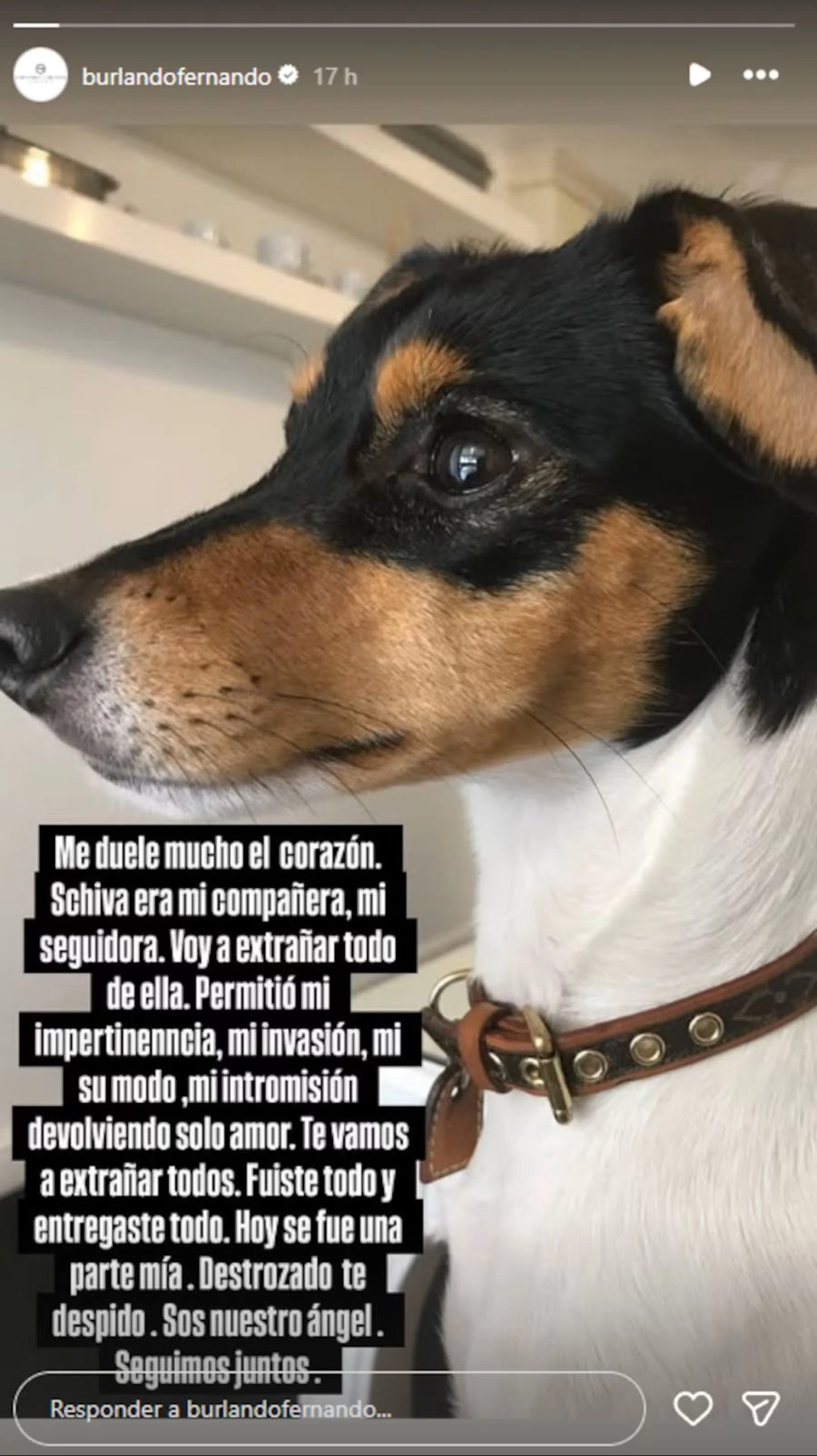 Fernando Burlando le dedicó una palabras a su mascota. Foto: IG.